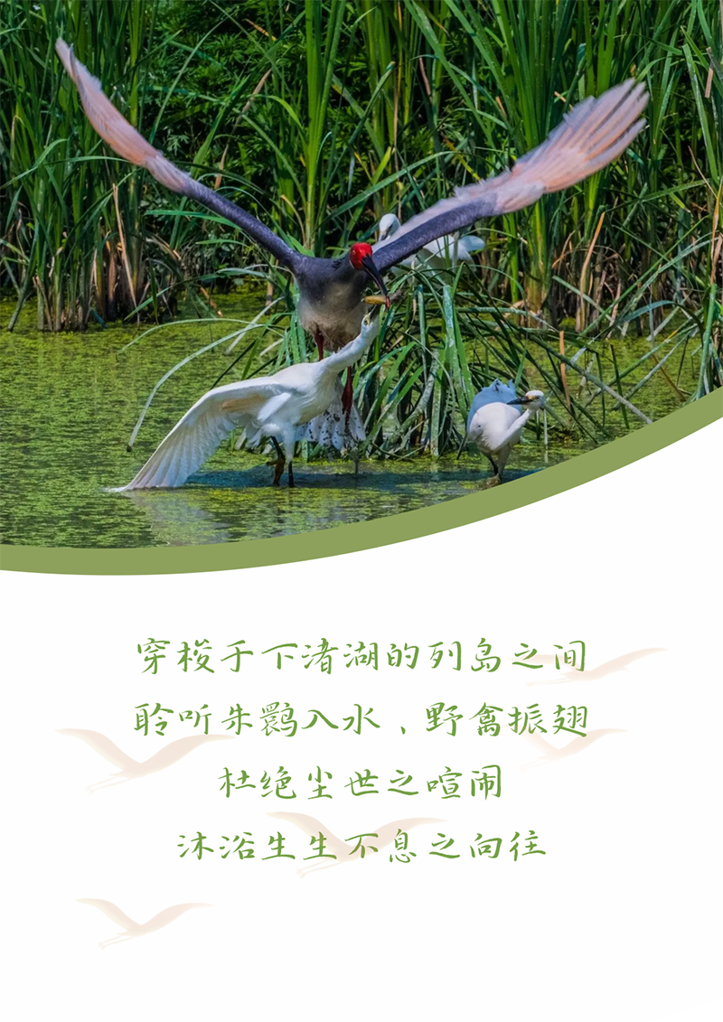 心心念廿 相伴和记体育 | 与德清相约 贺廿载诞辰